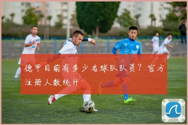 德甲目前有多少名球队队员？官方注册人数统计