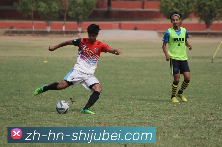 世界杯赛程表平台生态图